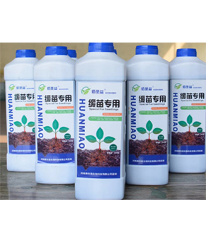 缓苗专用1.jpg